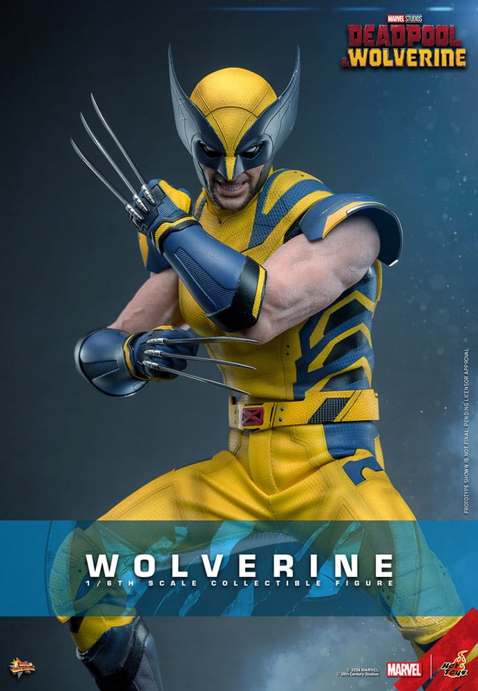 Hasbro - Marvel Legends Series - Wolverine – Legacy Distribution